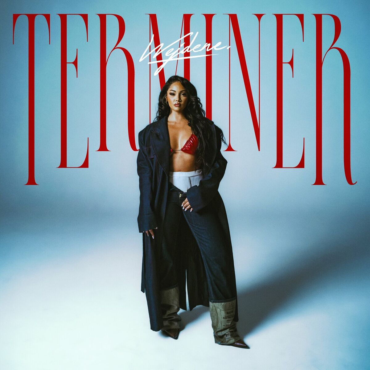 Album cover of Terminer