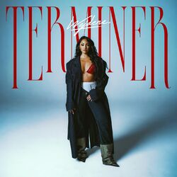 Cover of Terminer