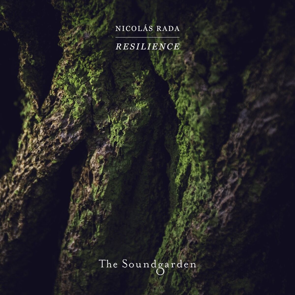 Album cover of Resilience
