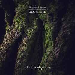 Cover of Resilience
