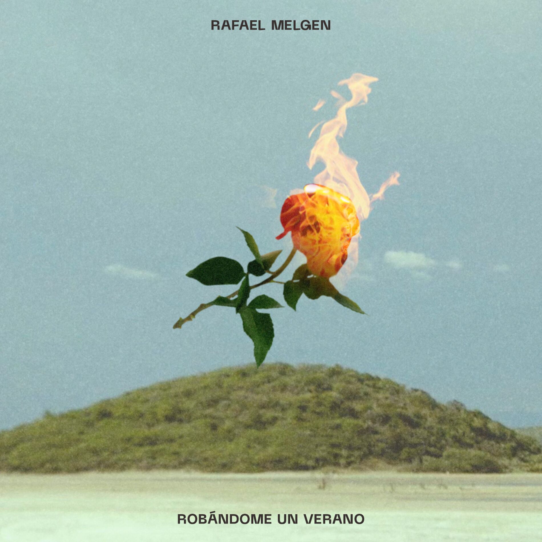 Album cover of Robándome Un Verano