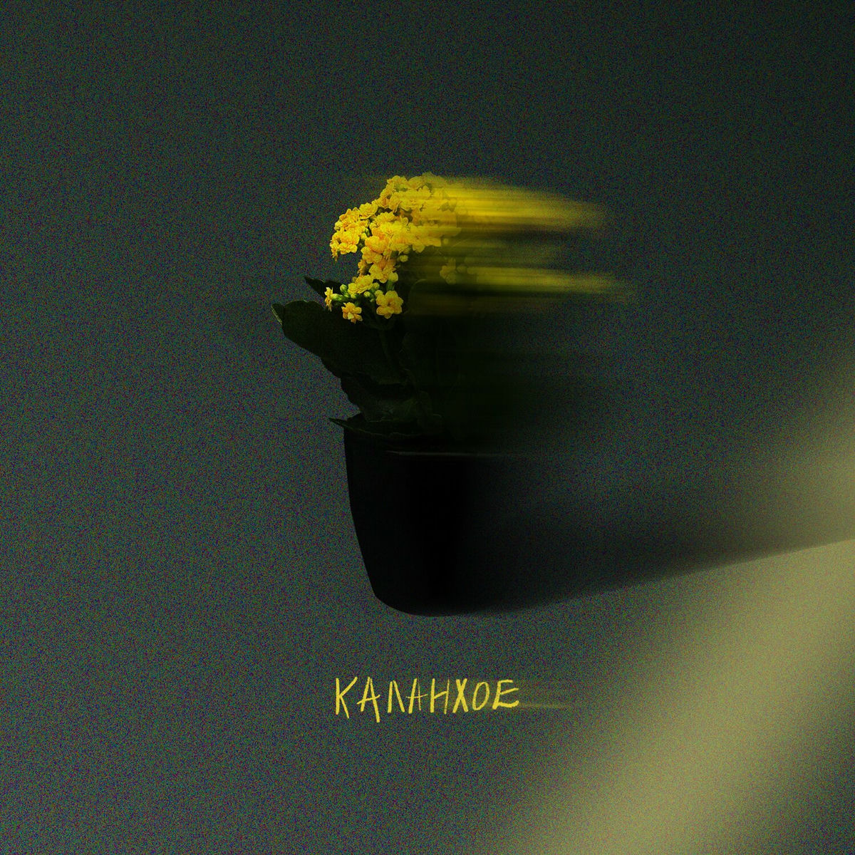 Album cover of Каланхое