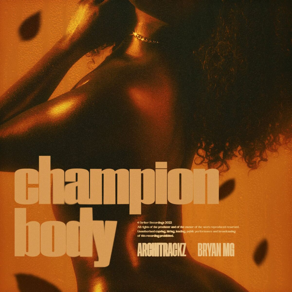 Album cover of Champion Body