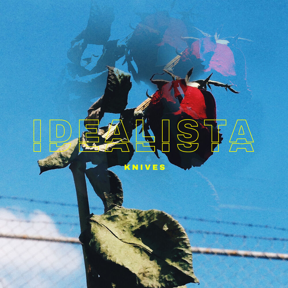 Picture of Idealista