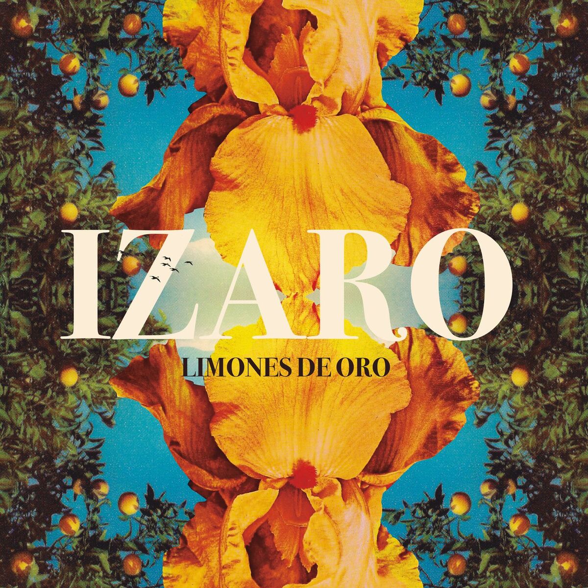 Album cover of Grace