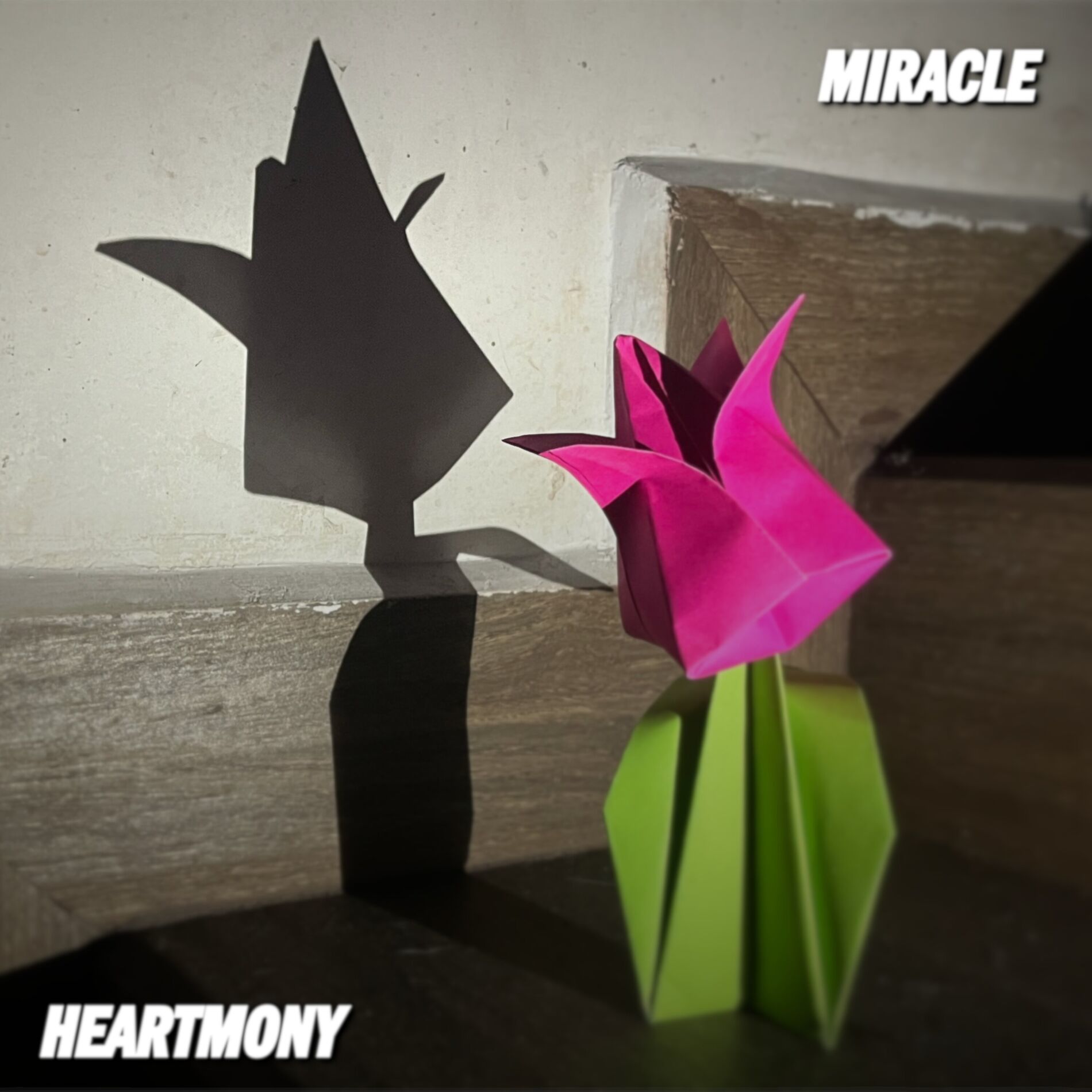 Album cover of Miracle