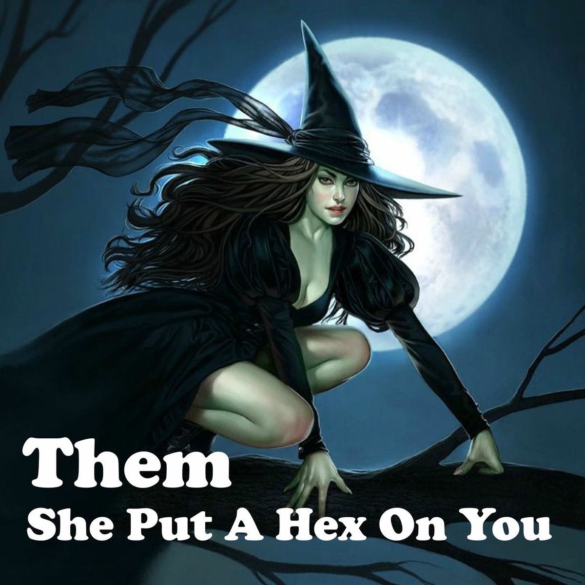 Album cover of She Put a Hex on You
