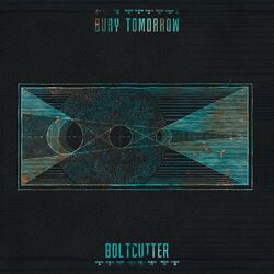 Cover of Boltcutter