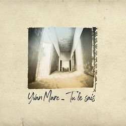 Cover of Tu le sais