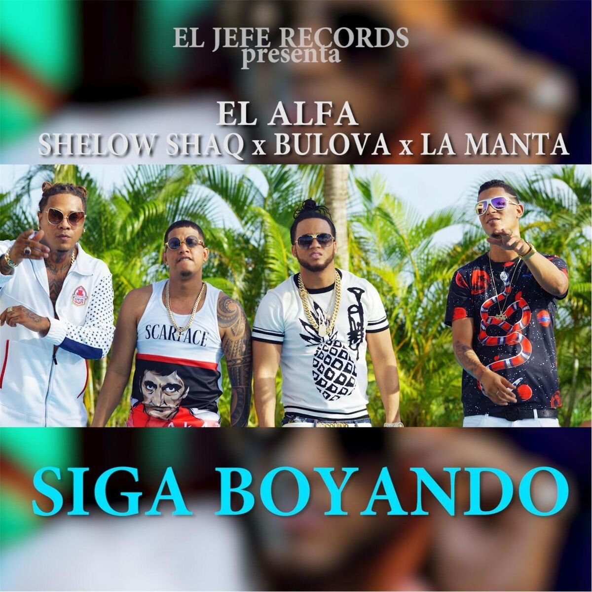 Album cover of Siga Boyando