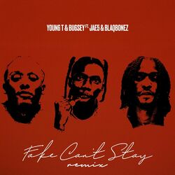 Cover of Fake Can't Stay (Remix)