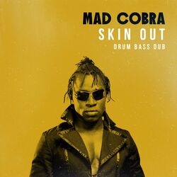 Cover of Skin Out (Drum Bass Dub)