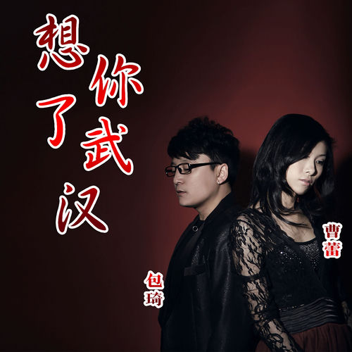 想你了，武汉