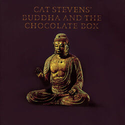 Cover of Buddha And The Chocolate Box