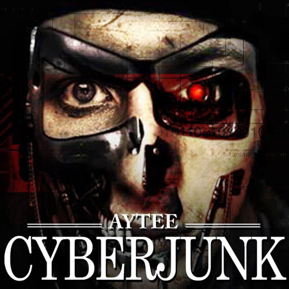 Picture of Cyberjunk