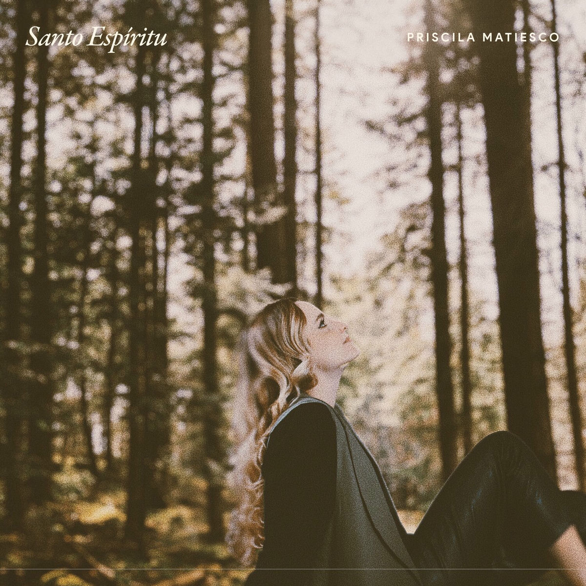 Album cover of Santo Espíritu