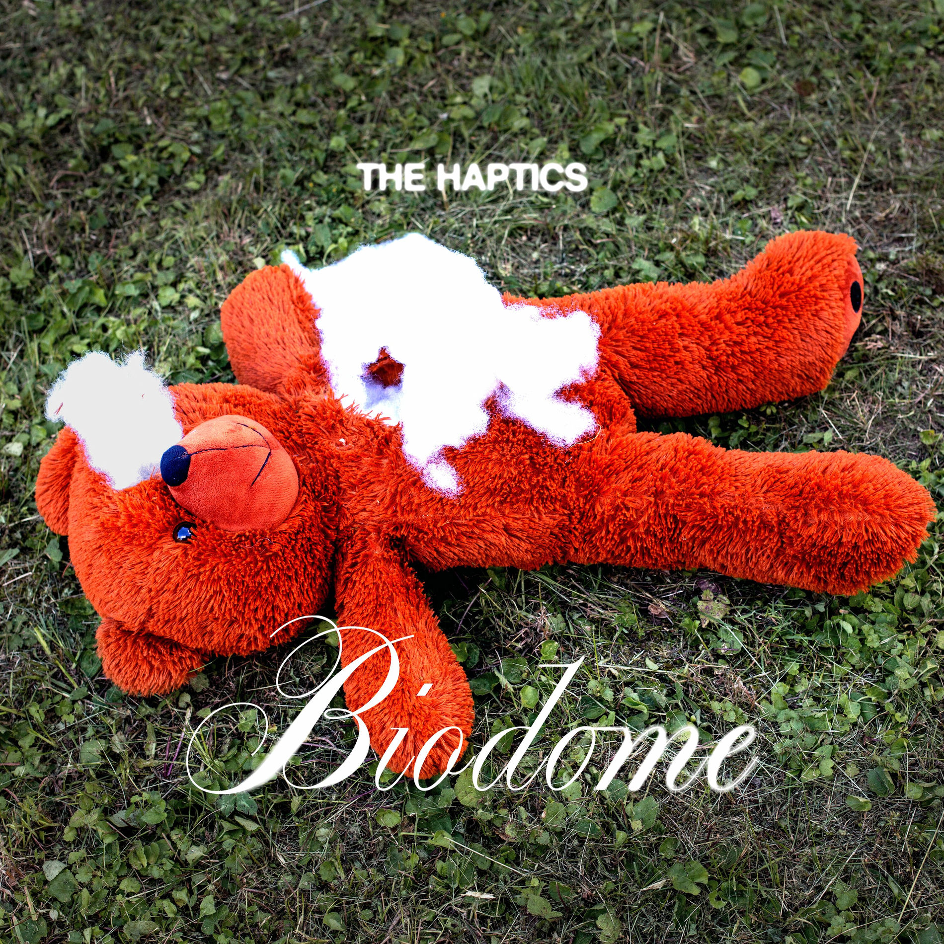 Album cover of Biodome