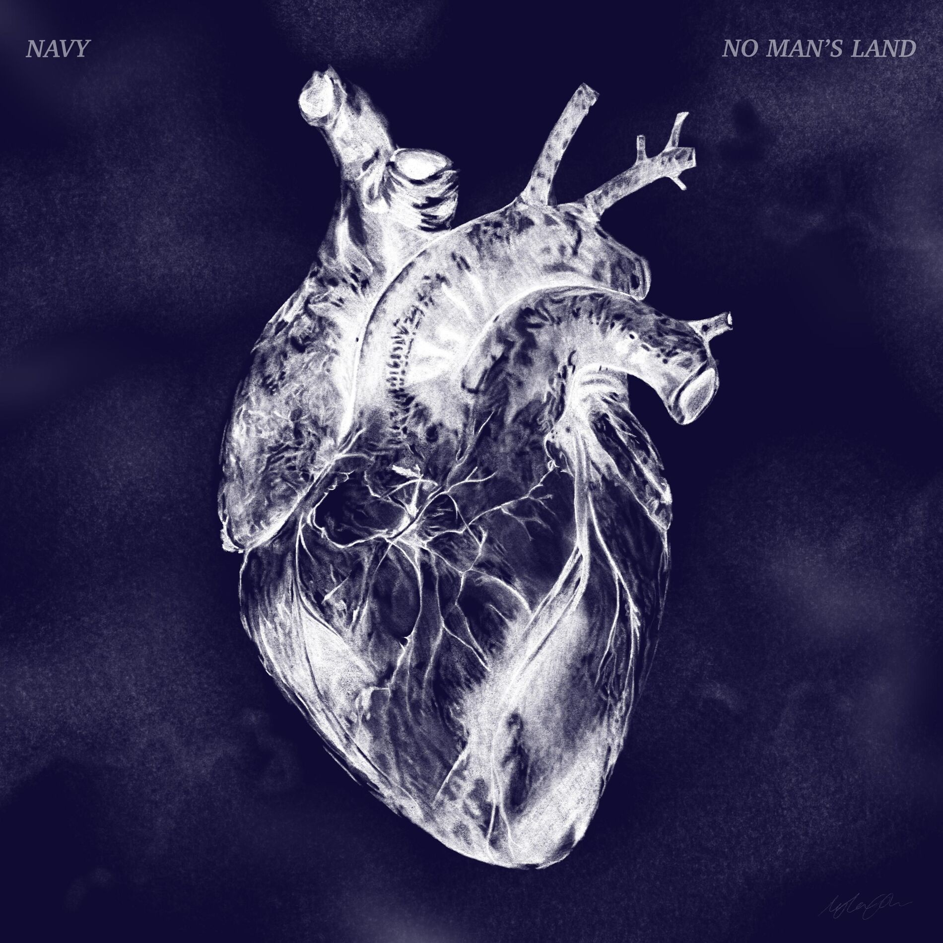 Album cover of No Man's Land