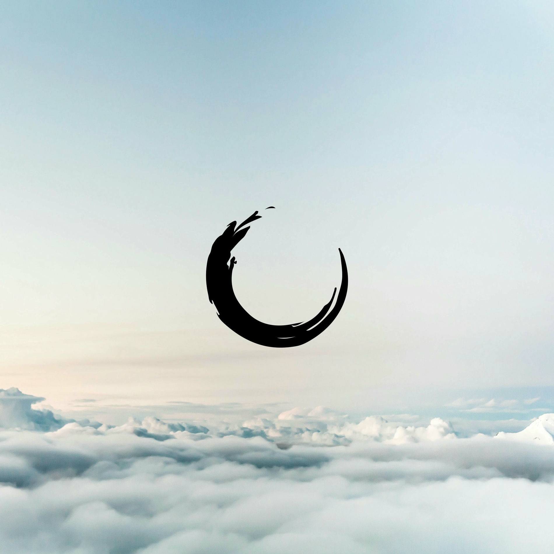 Album cover of Weightless