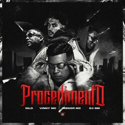 Cover of Procedimento