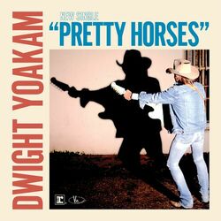 Cover of Pretty Horses