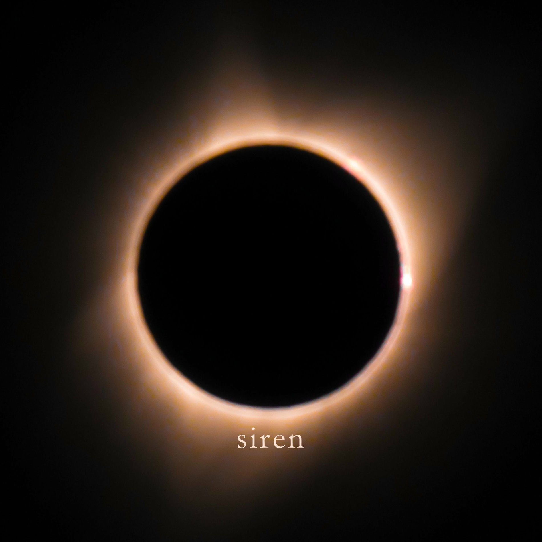 Album cover of Siren