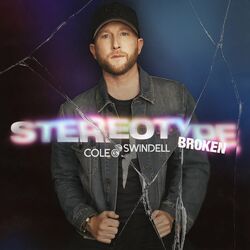 Cover of Stereotype Broken
