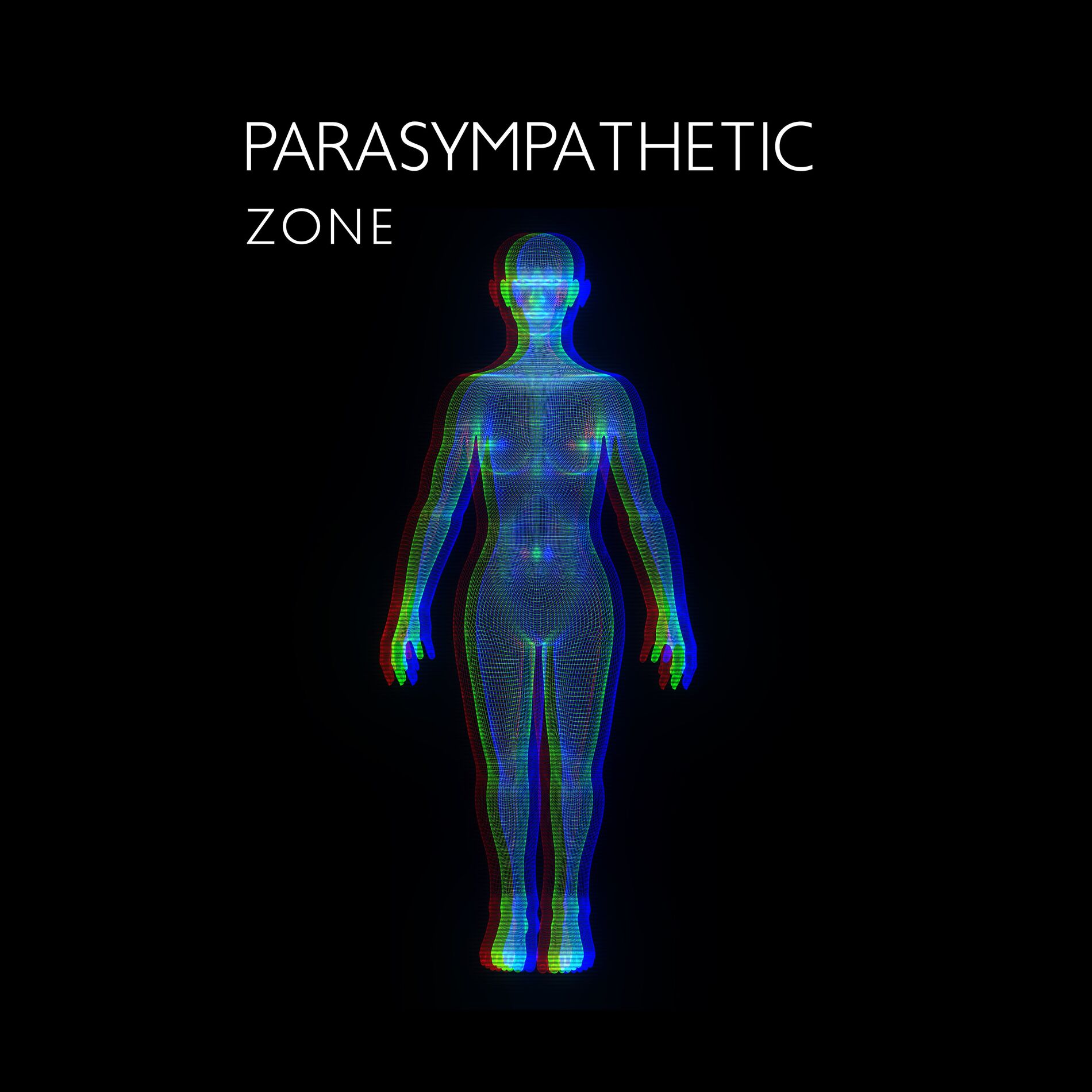 Album cover of Parasympathetic Zone: Unwind with Calm and Peaceful Music