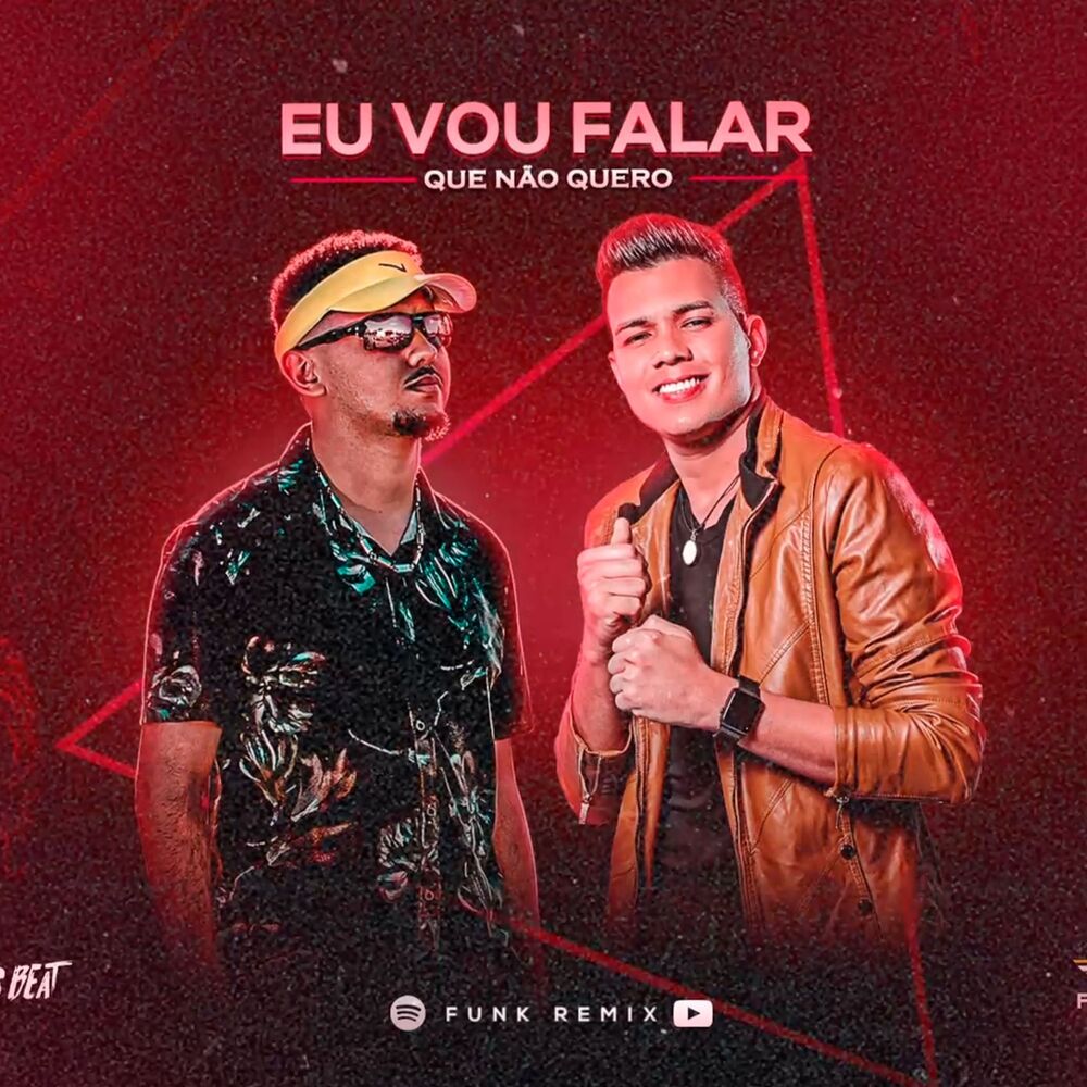 Picture of Vou Falar Que Não Quero (Remix)