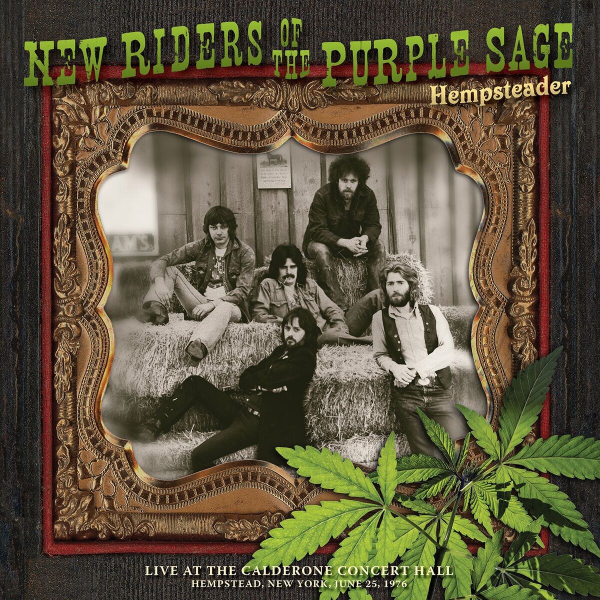 Album cover of Hempsteader: Live At The Calderone Concert Hall, Hempstead, New York, June 25, 1976