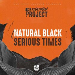 Cover of Serious Times