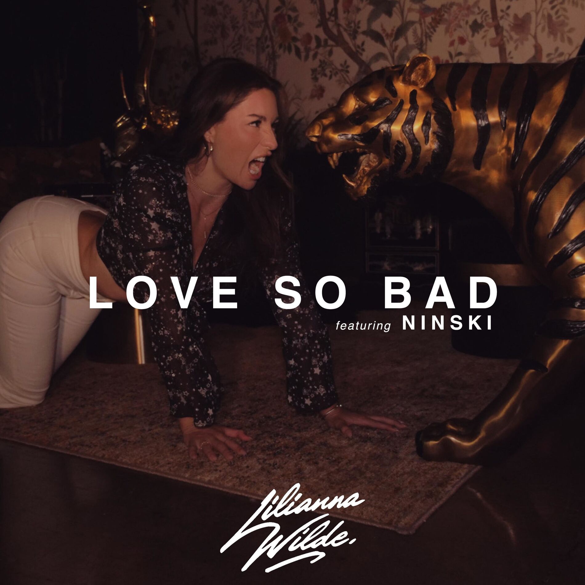 Album cover of Love So Bad
