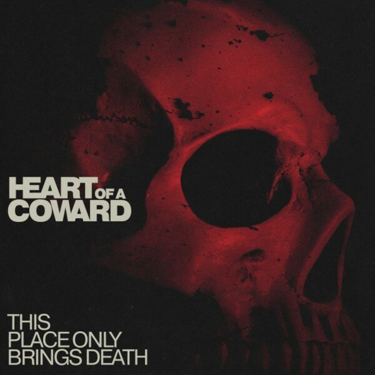 Album cover of This place only brings death