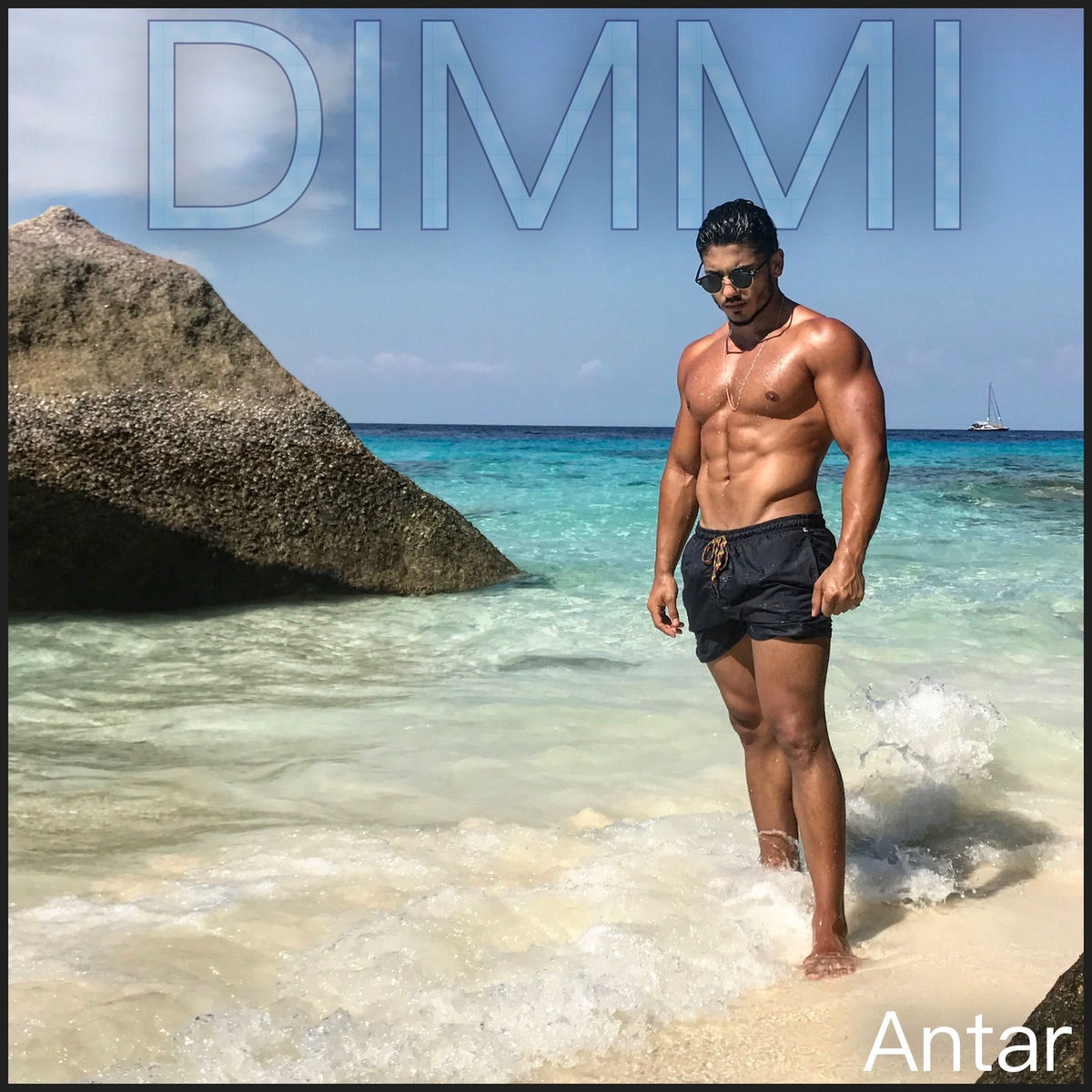 Album cover of DIMMI