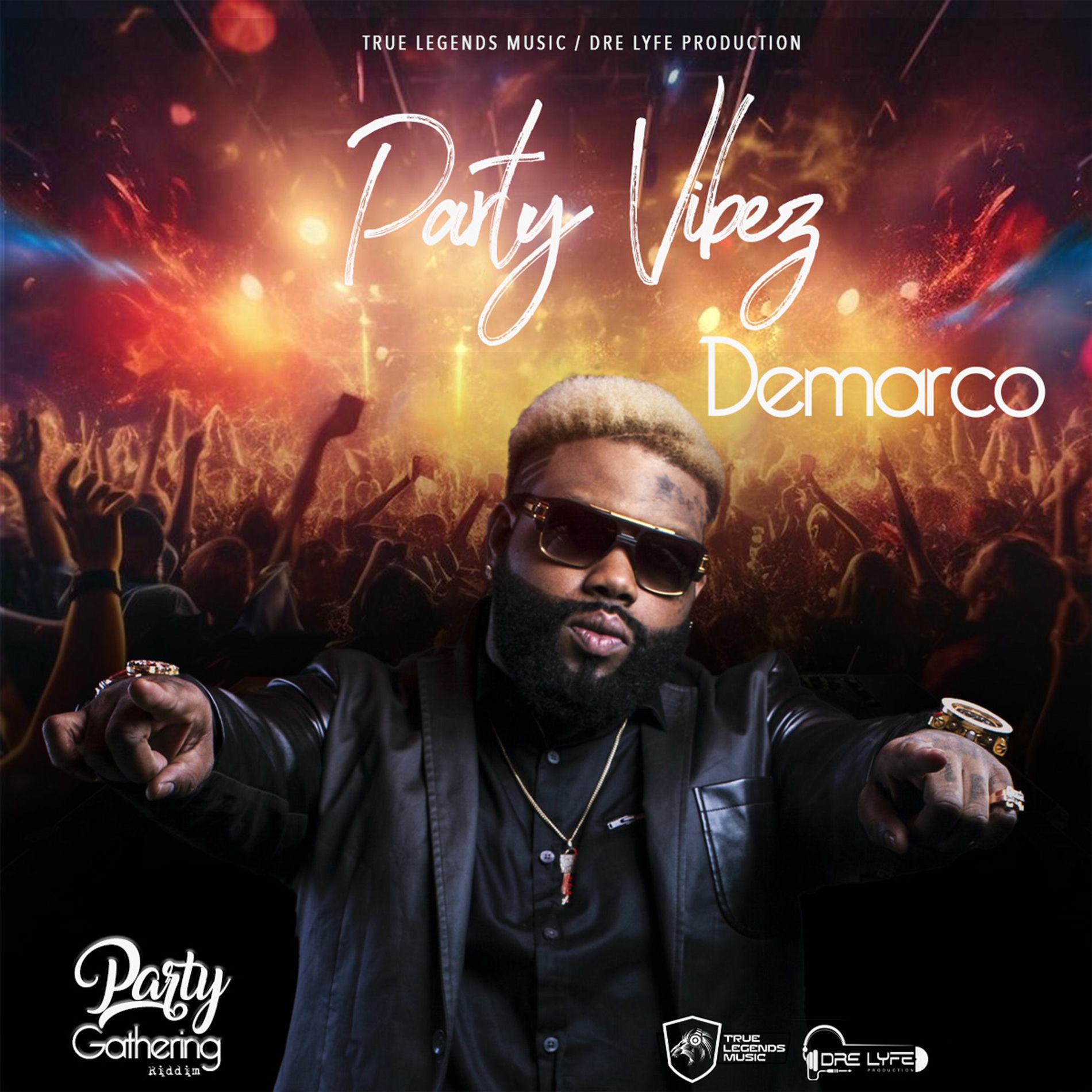 Album cover of Party Vibes