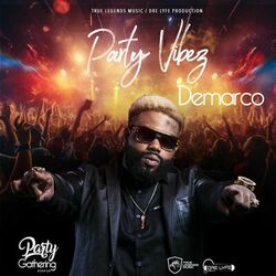 Cover of Party Vibes
