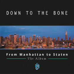 Cover of From Manhattan to Staten: The Album