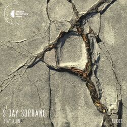 Cover of Stay Alone