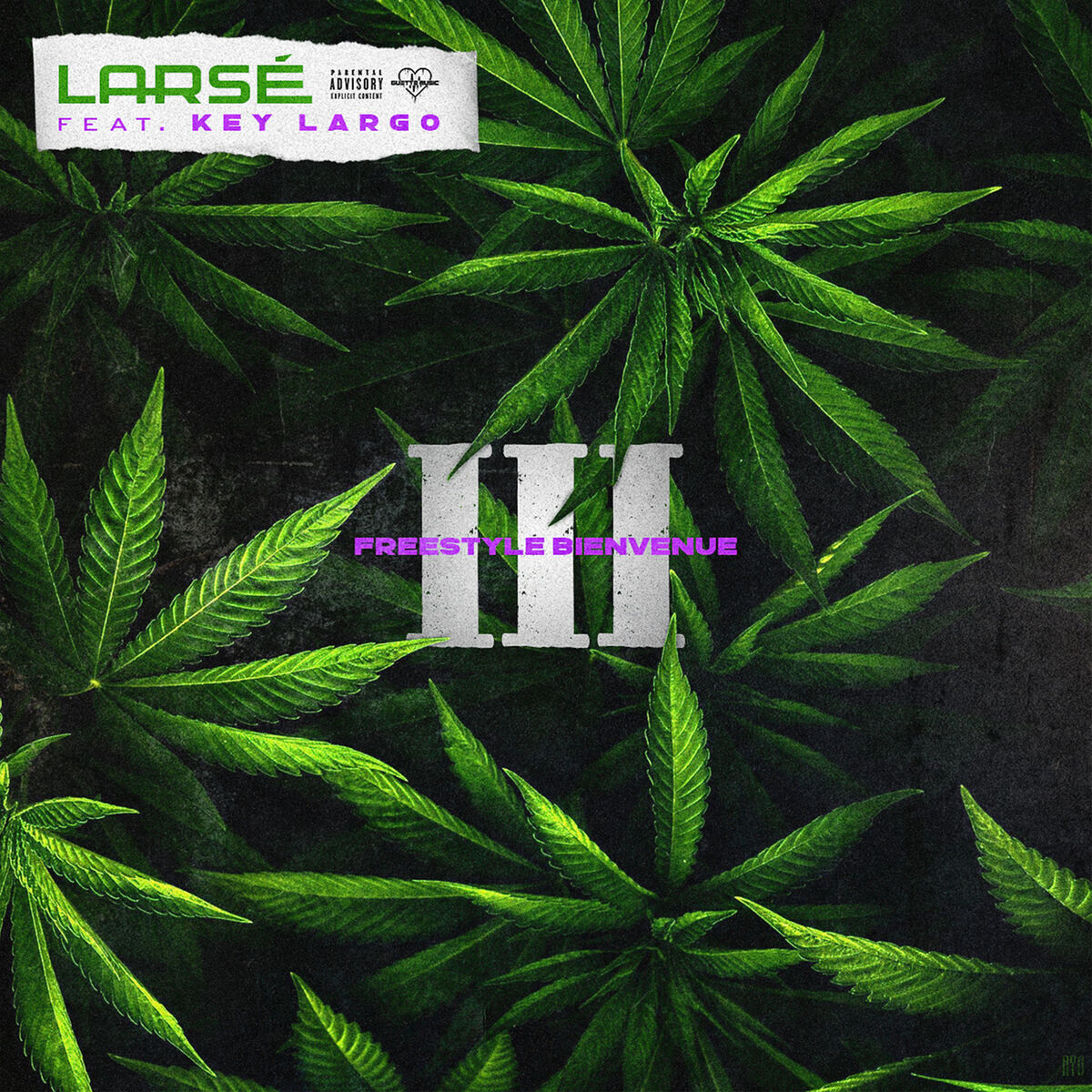 Album cover of Freestyle Bienvenue III