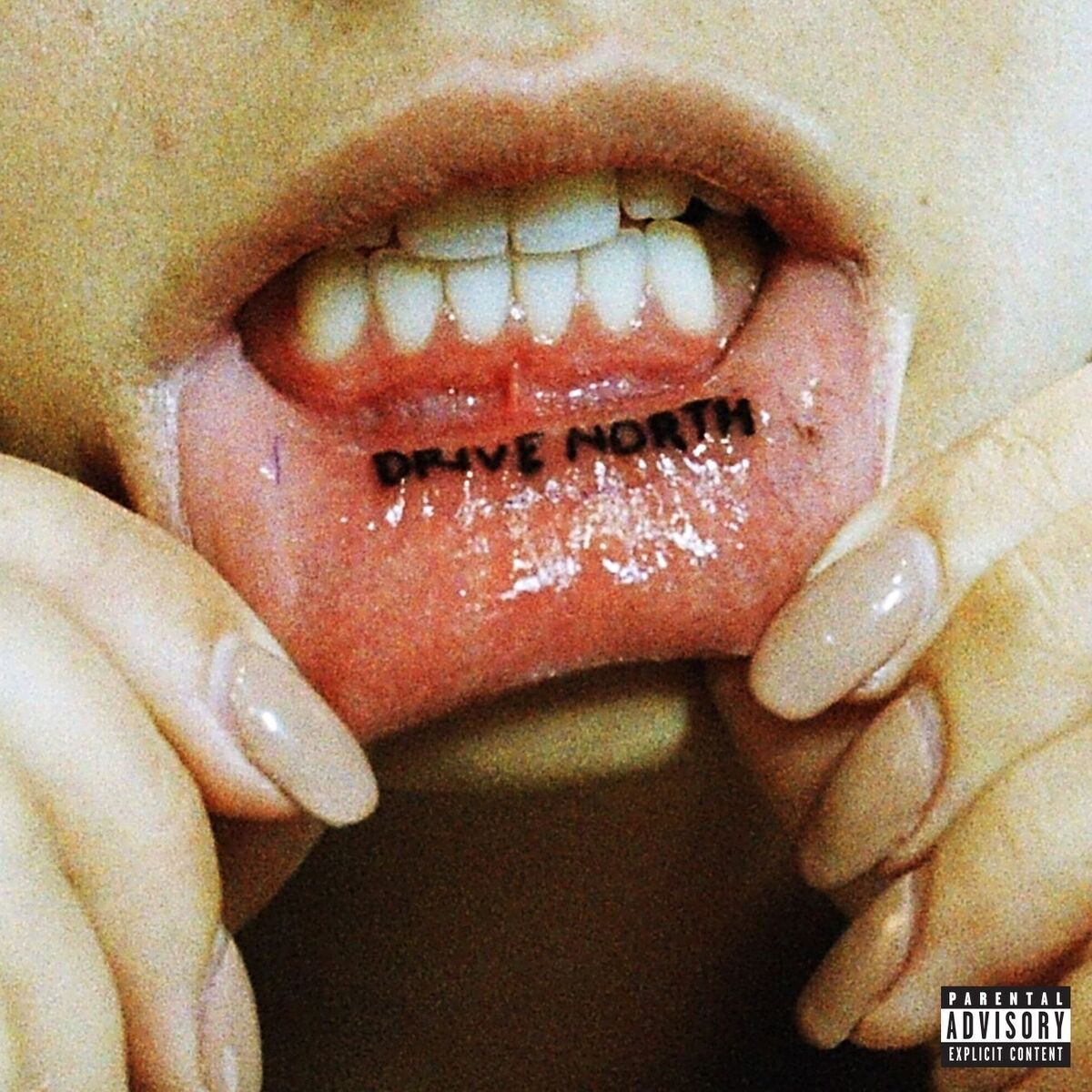 Album cover of Lose It