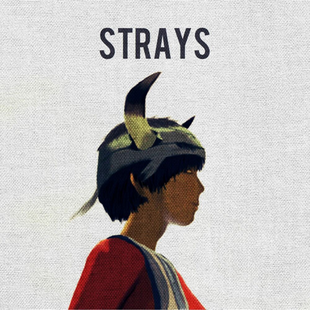 Picture of Strays