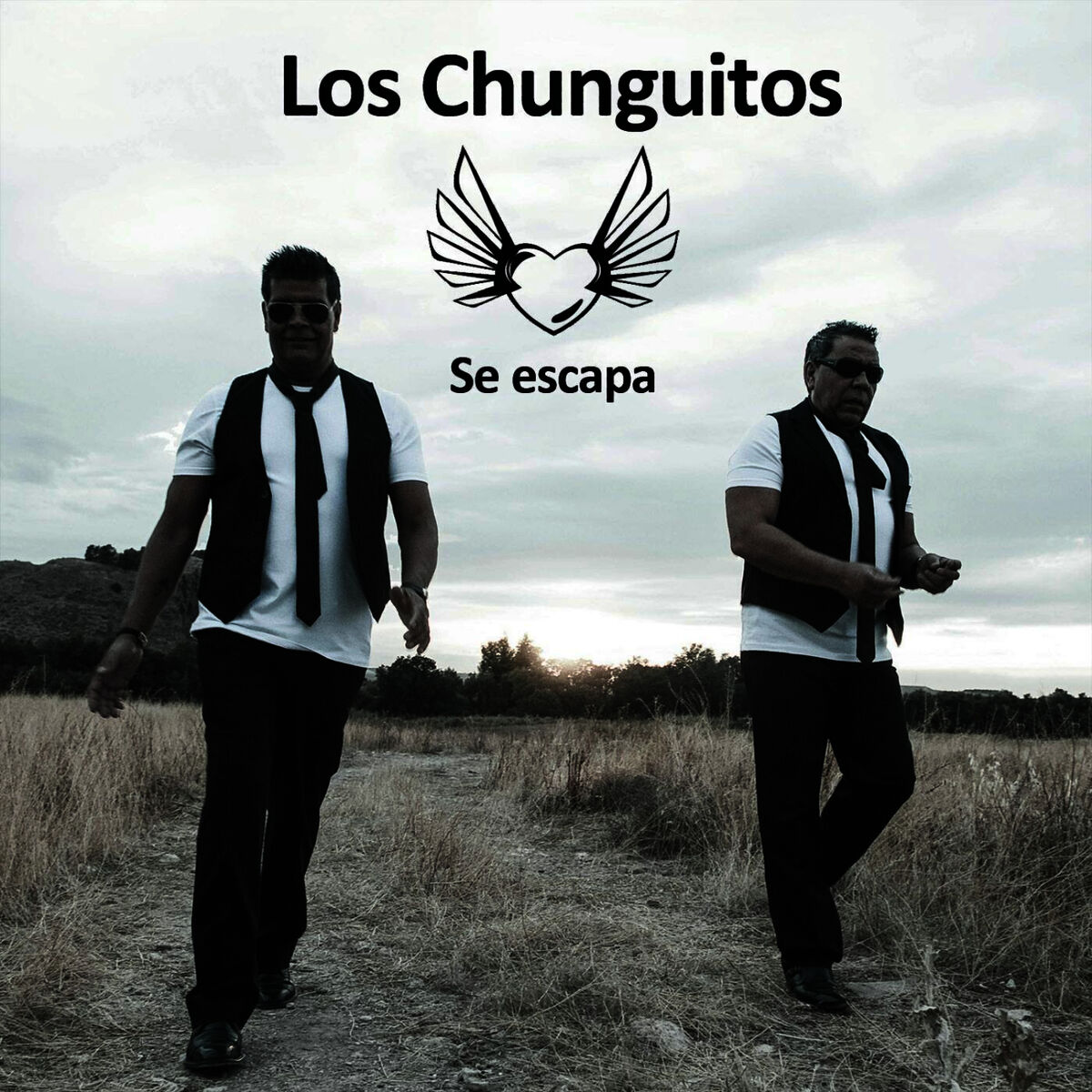 Album cover of Se Escapa