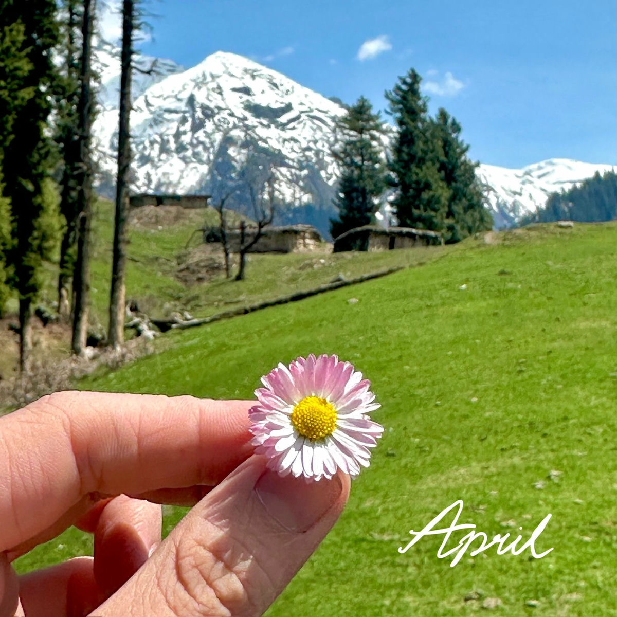 Album cover of April