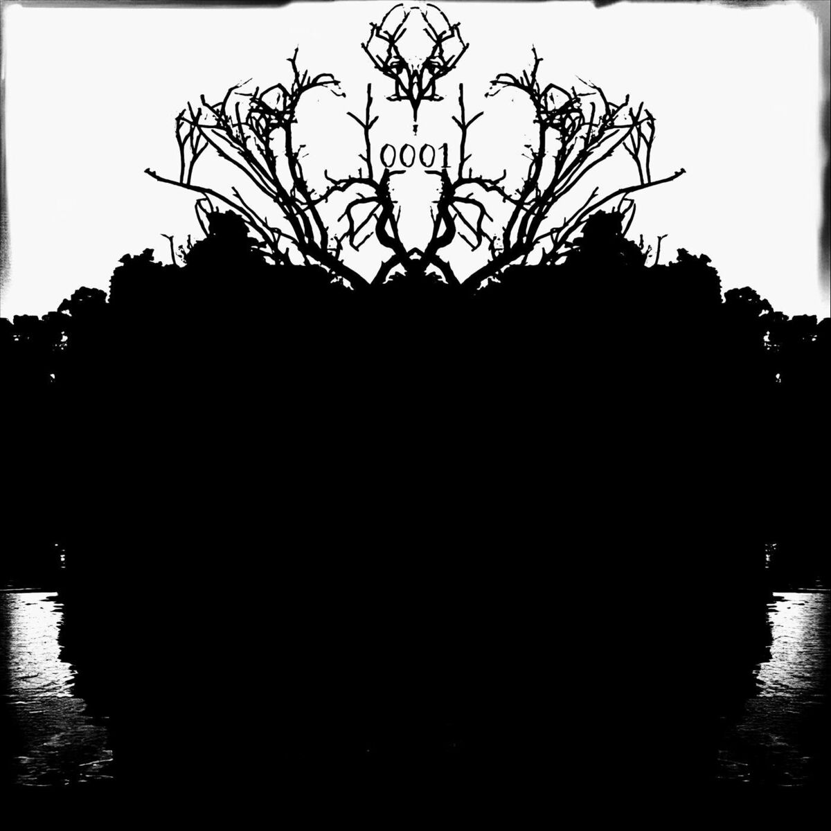 Album cover of Transcomunicación Instrumental