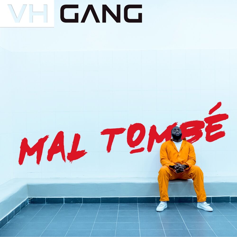 Picture of Mal tombé