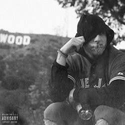 Cover of Say No More