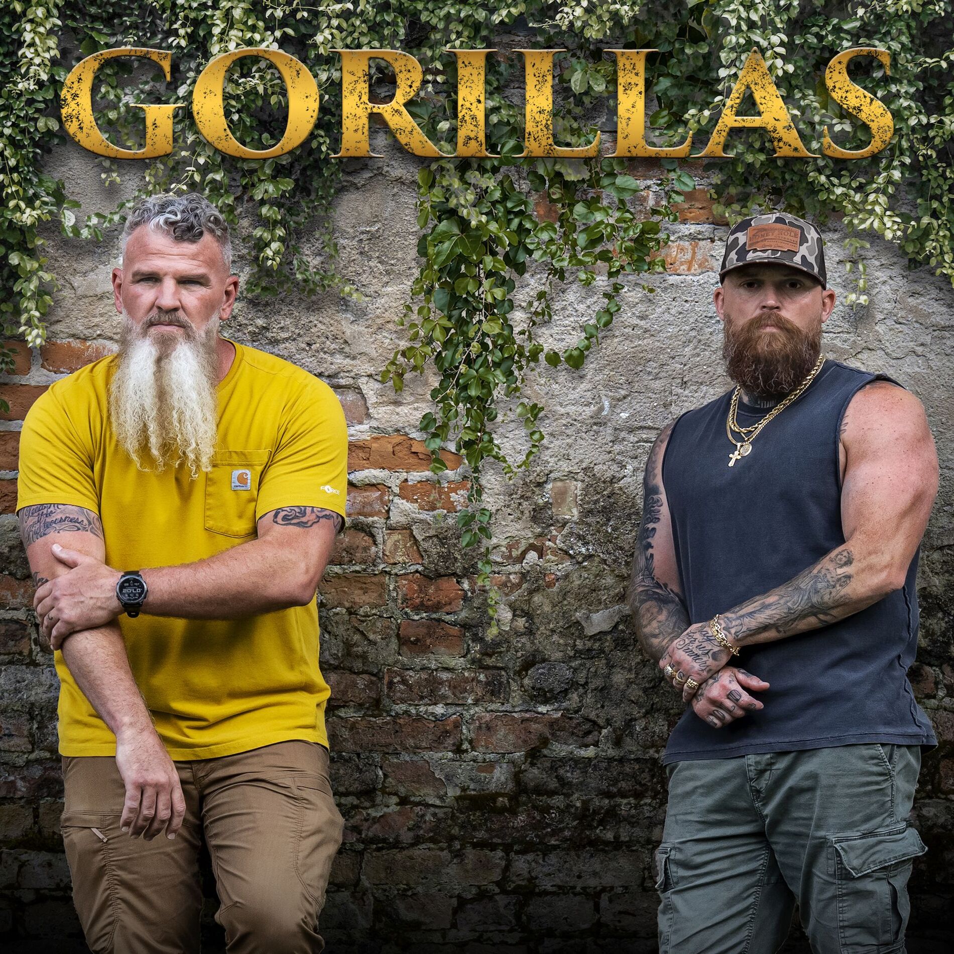 Album cover of Gorillas