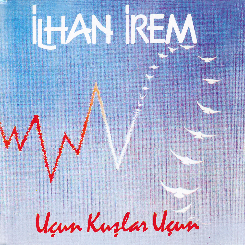 Picture of Uçun Kuşlar Uçun