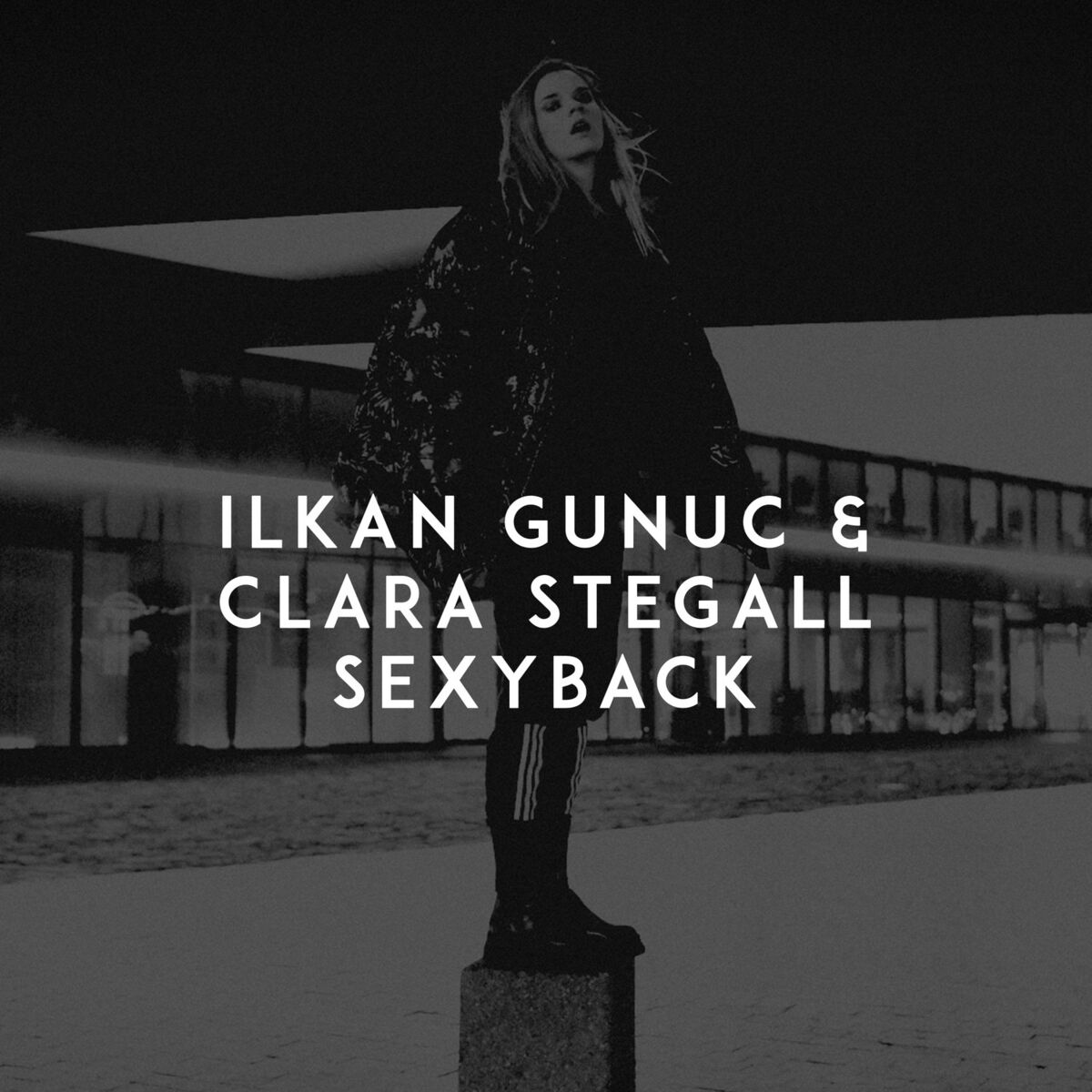 Album cover of SexyBack