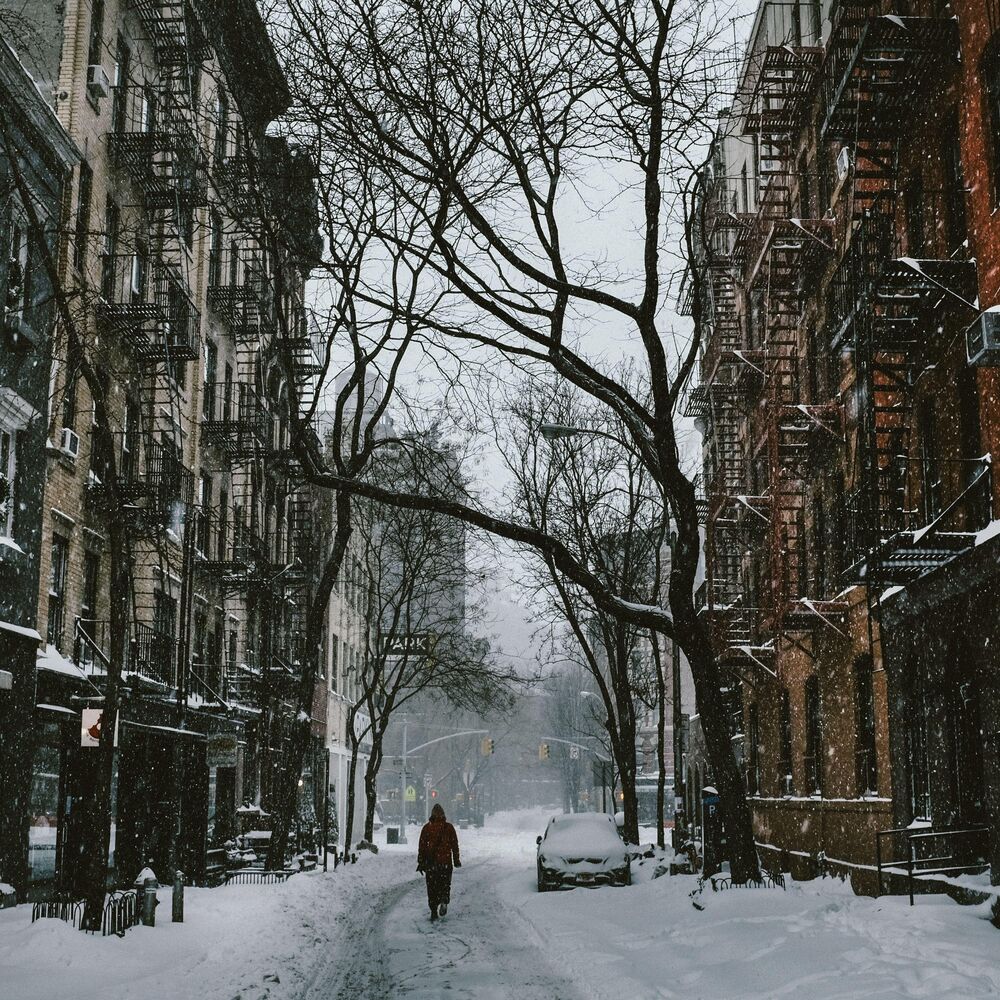 Picture of Quiet Walks on a Snowy Street